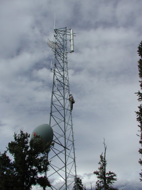 Kit (KAØWUC) on Tower at Badger Site